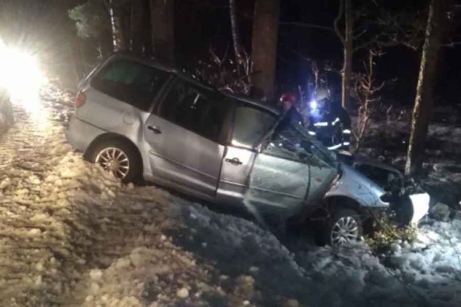 В Жлобинском районе водитель неправильно выбрал скорость, врезался в дерево и погиб 000024_1644569950_484235_big