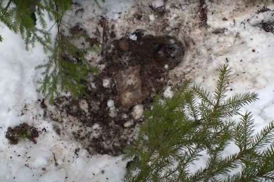 В столице изъято более килограмма наркотиков у бухгалтера фирмы 444