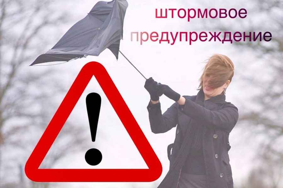 На выходные объявлен красный уровень опасности из-за сильного ветра photo_2022-02-18_13-44-13