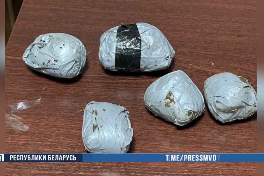 Под Гомелем у наркокурьеров изъяты альфа-PVP и марихуана vvv-1