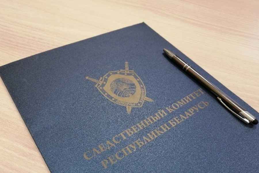 В Минске 22-летний парень убивал котов из-за плохого настроения 000074_291889