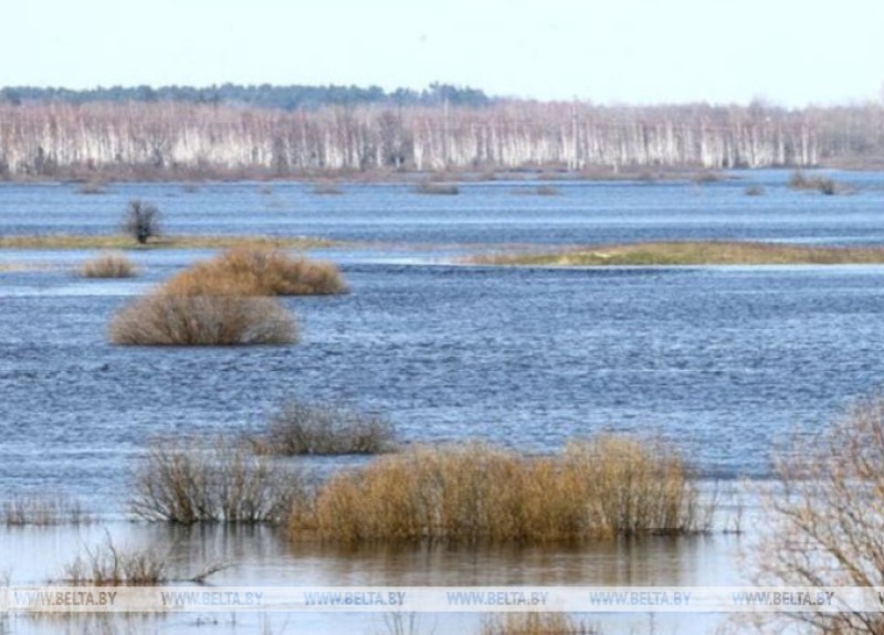 На реках Беларуси в ближайшие дни ожидаются колебания уровней воды 000022_1712645155_626676_big
