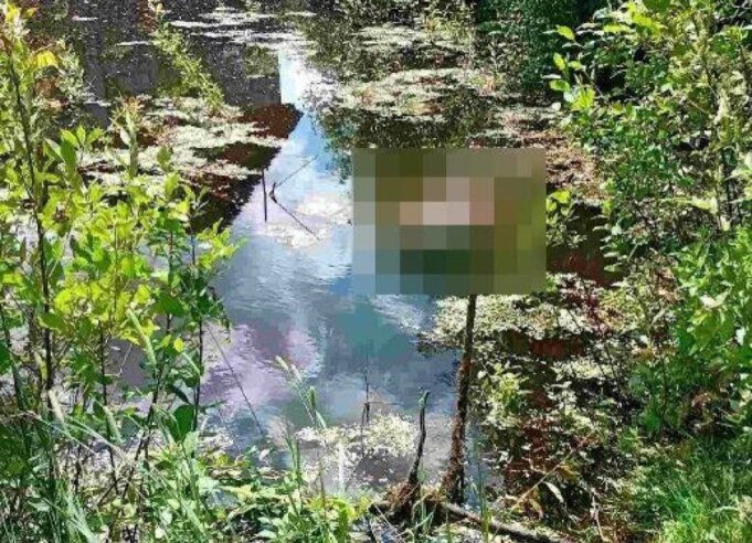 В Витебске утонула пенсионерка