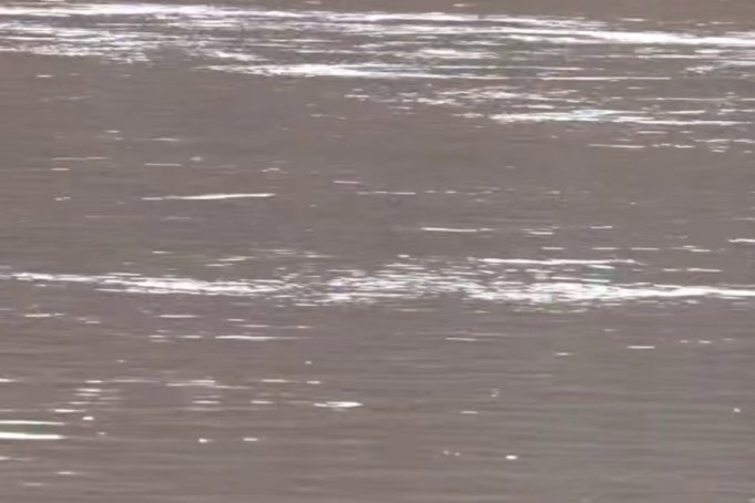 В Гродненском районе в водоёме утонул пожилой мужчина В Гродненском районе в водоёме утонул пожилой мужчина