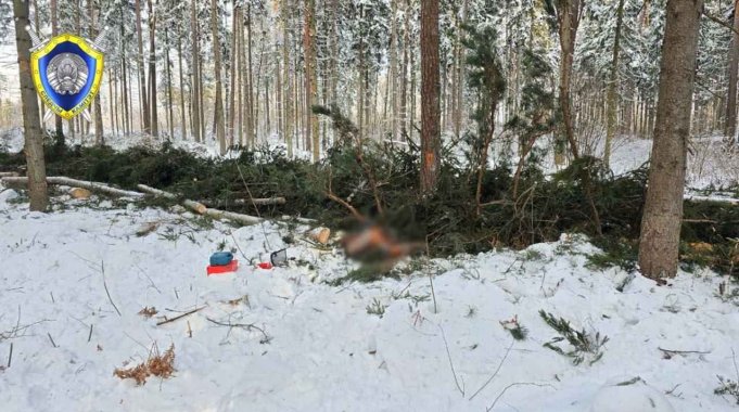 При валке леса погиб работник в Костюковичском районе При валке леса погиб работник в Костюковичском районе