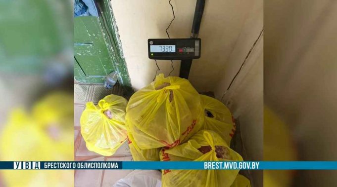 В Пружанах работники предприятия похитили 1,2 тонны говядины