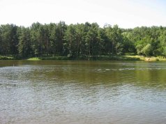 В Могилеве осенью начнут очистку Печерского озера В Могилеве осенью начнут очистку Печерского озера