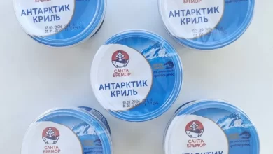 В Беларуси появилась суши-паста из дикого криля с чукой